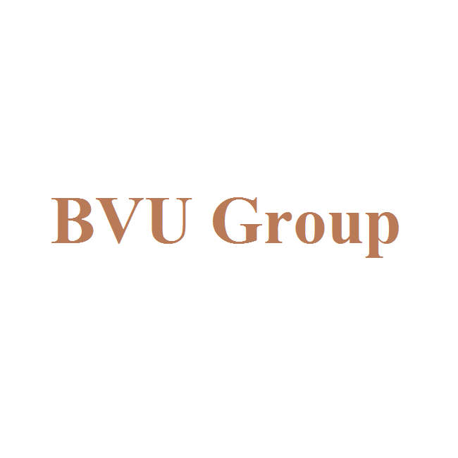 BVU Group