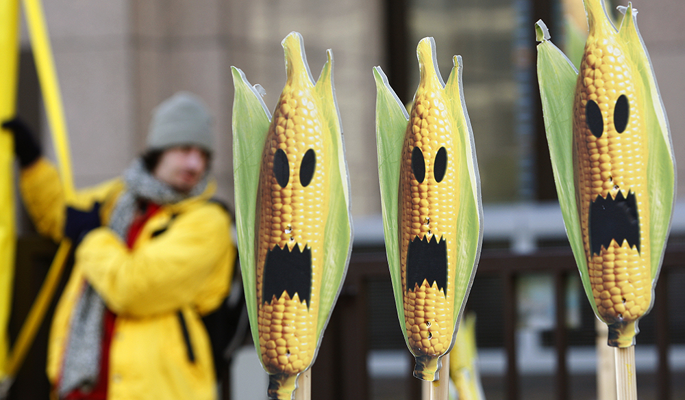 Самые дурацкие мифы о ГМО