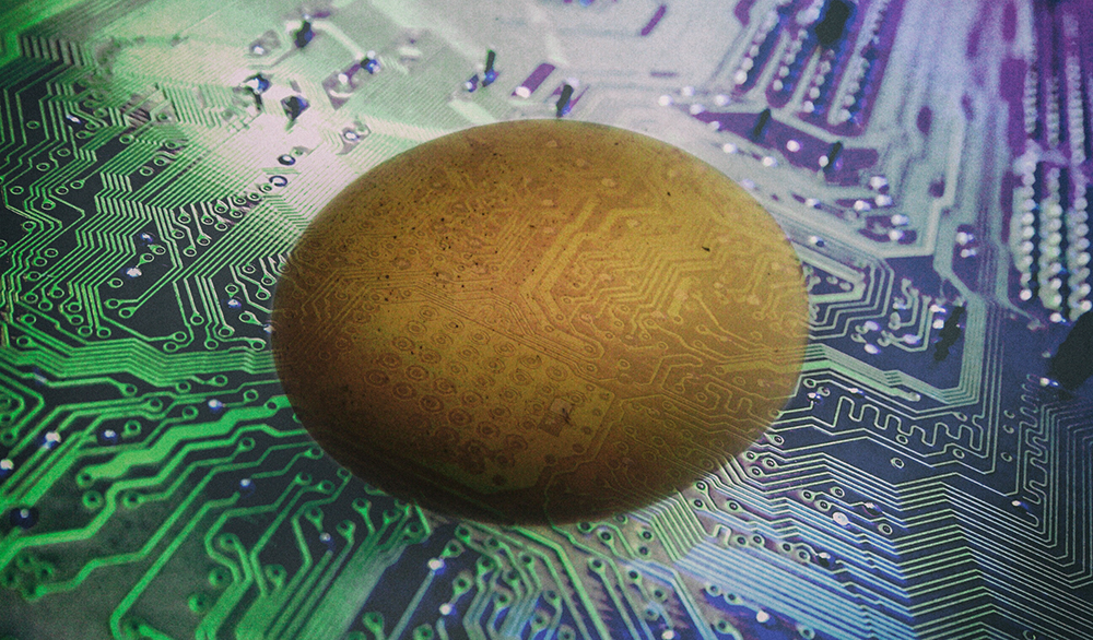 Как птичьи яйца могут помочь в разработке электроники