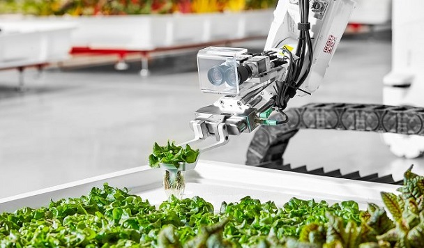 В Калифорнии создали робосистему, самостоятельно выращивающую растения