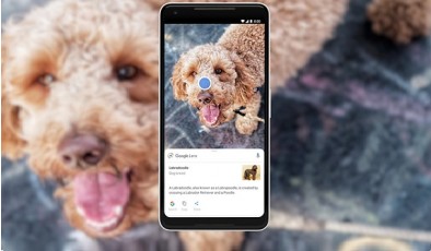 Google Lens распознает уже миллиард объектов