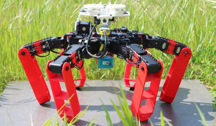 Разработан робот-муравей, ориентирующийся в пространстве по небу