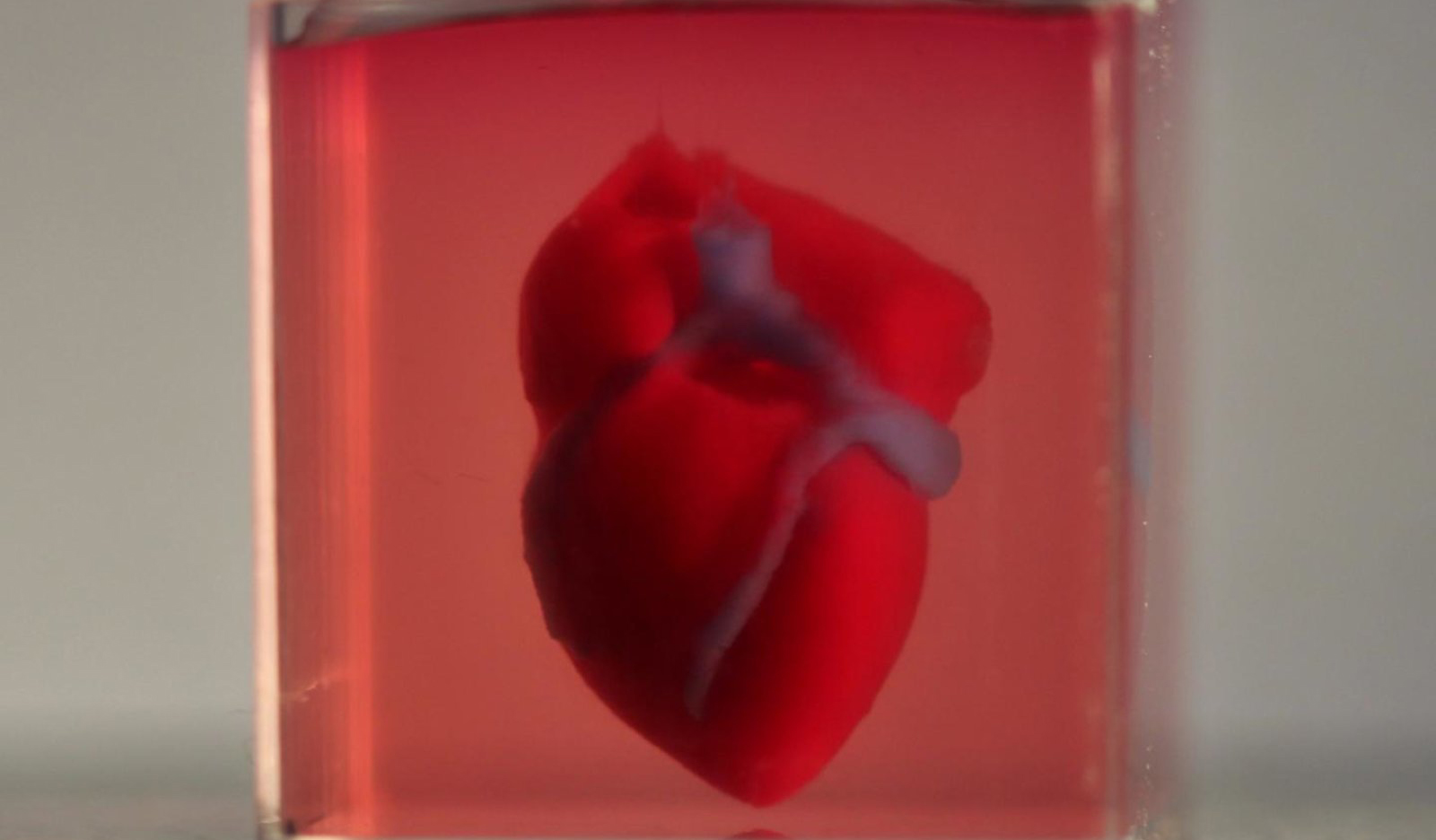 Прорыв в медицине: Ученые распечатали живое сердце из клеток пациента