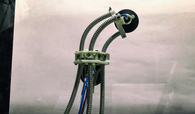 Разработан робот-пиявка, способный карабкаться по стенам