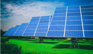 Парки солнечных батарей полезны для живой природы