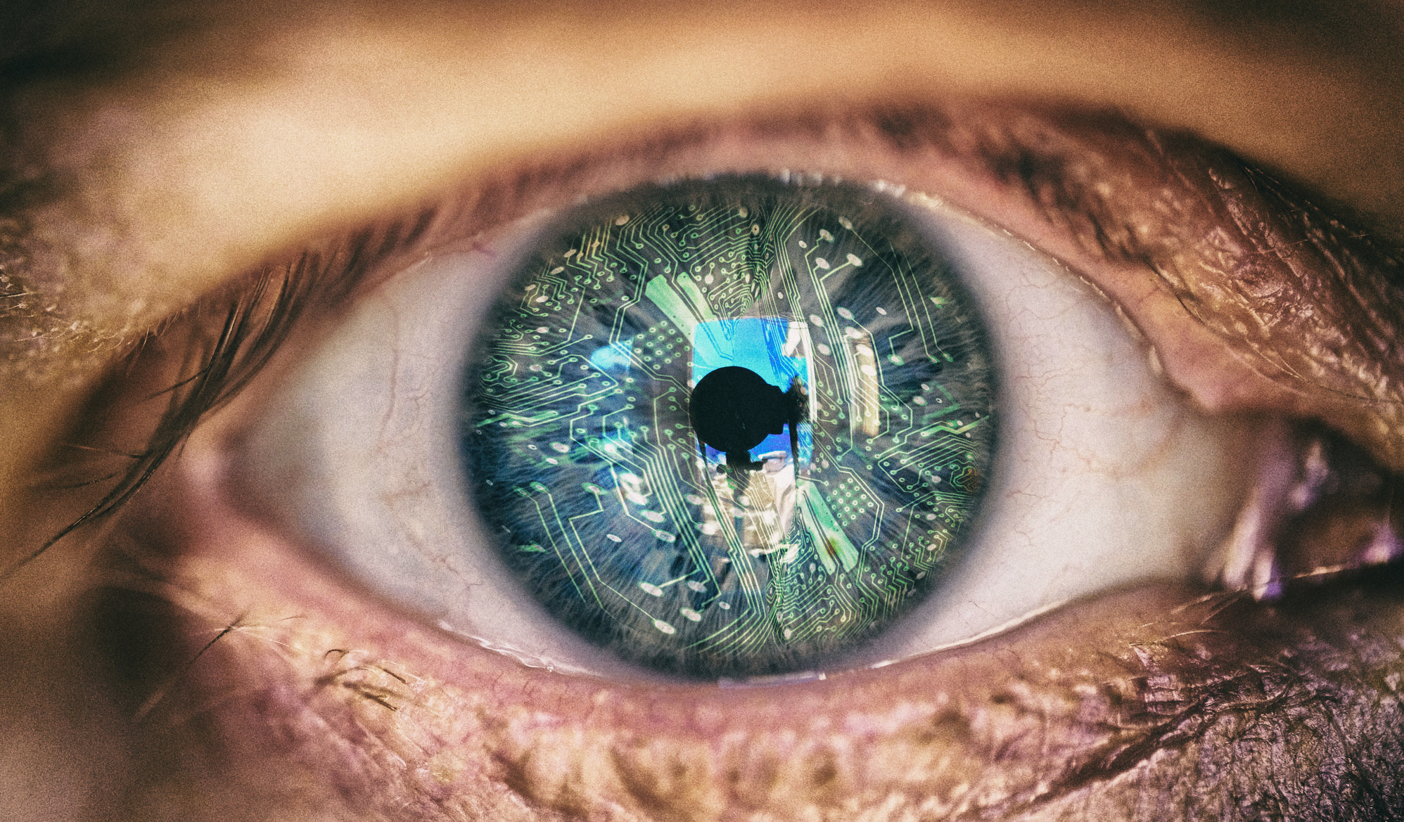 Умный алгоритм научился распознавать человека по мельчайшим движениям глаз