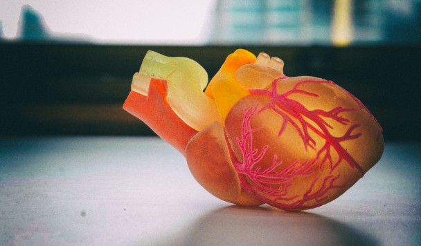 Ученые смогли напечатать на 3D-принтере рабочие “запчасти” для сердца