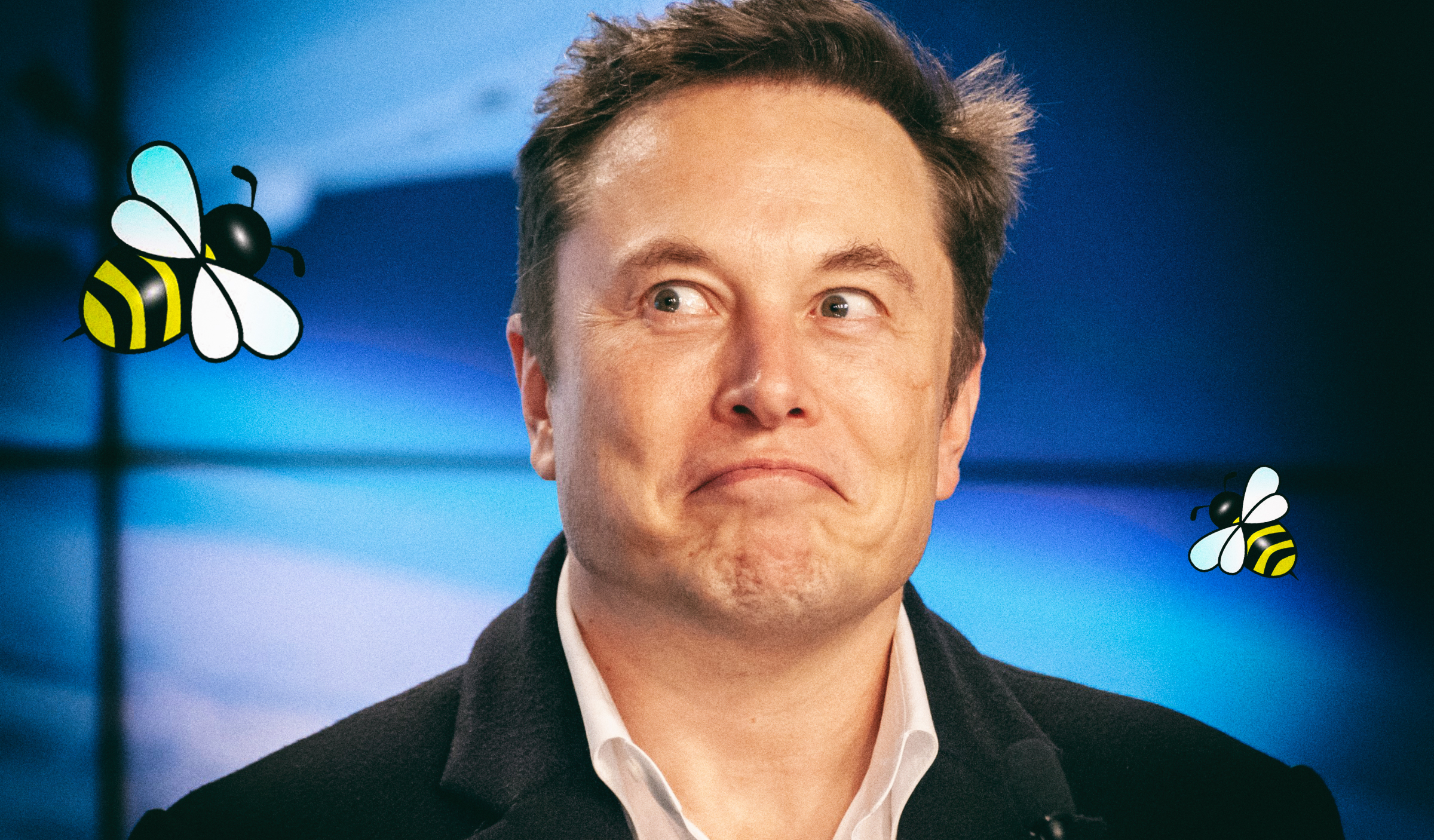 Похоже, что странными твитами про пчел Илон Маск анонсирует новый электромобиль