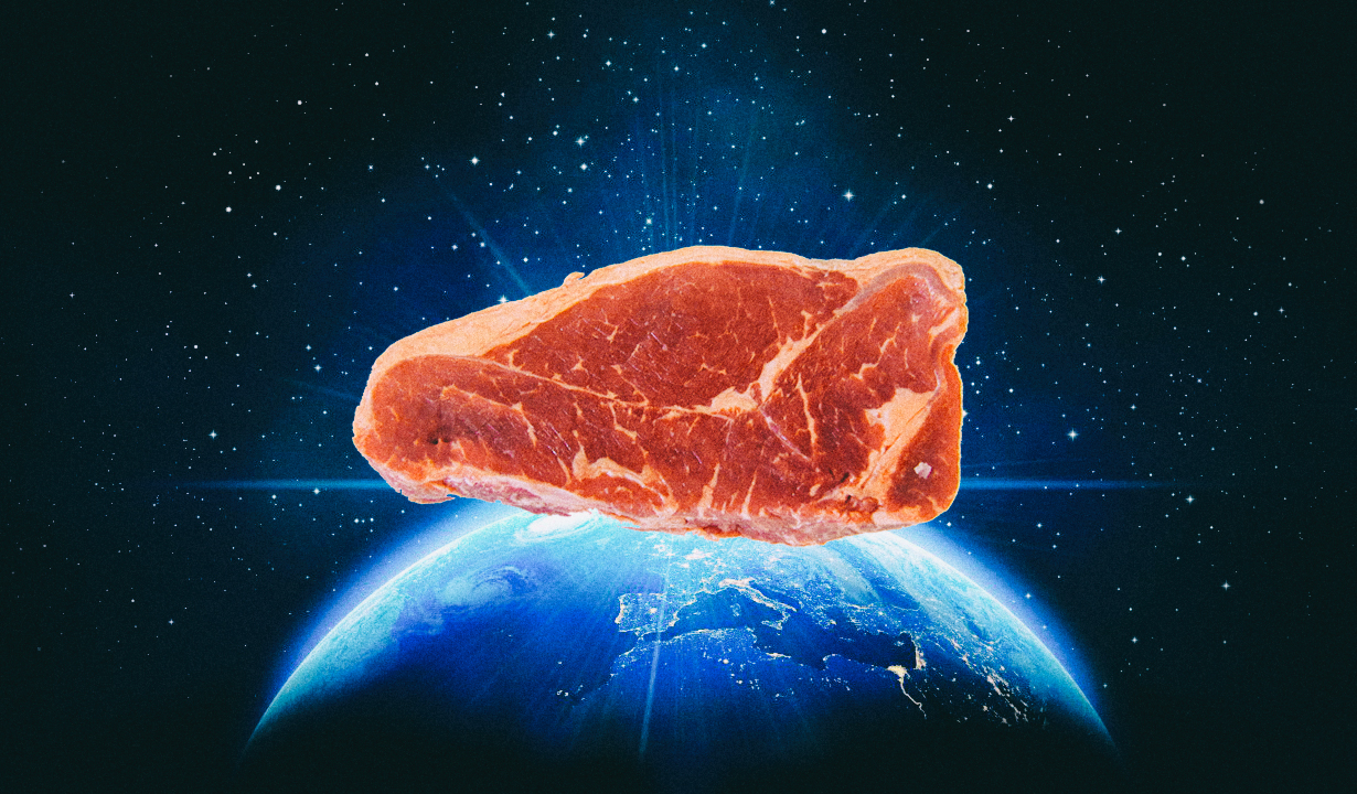 Астронавты впервые вырастили мясо в космосе