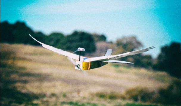 Дрон, скопированный с живых птиц, летает лучше других машин