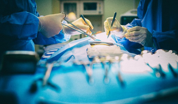 Человеку впервые пересадили искусственно выращенную сердечную мышцу