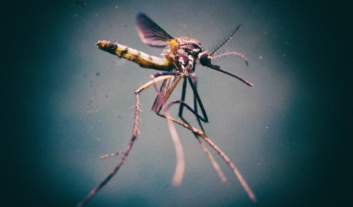 Комары помогли разработать новую противоаварийную систему для дронов