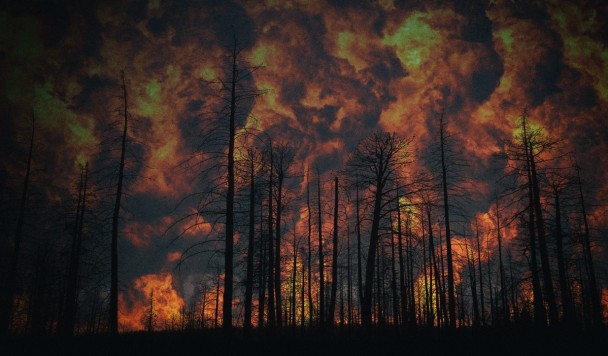 Детектор лесных пожаров получает энергию от качающихся деревьев