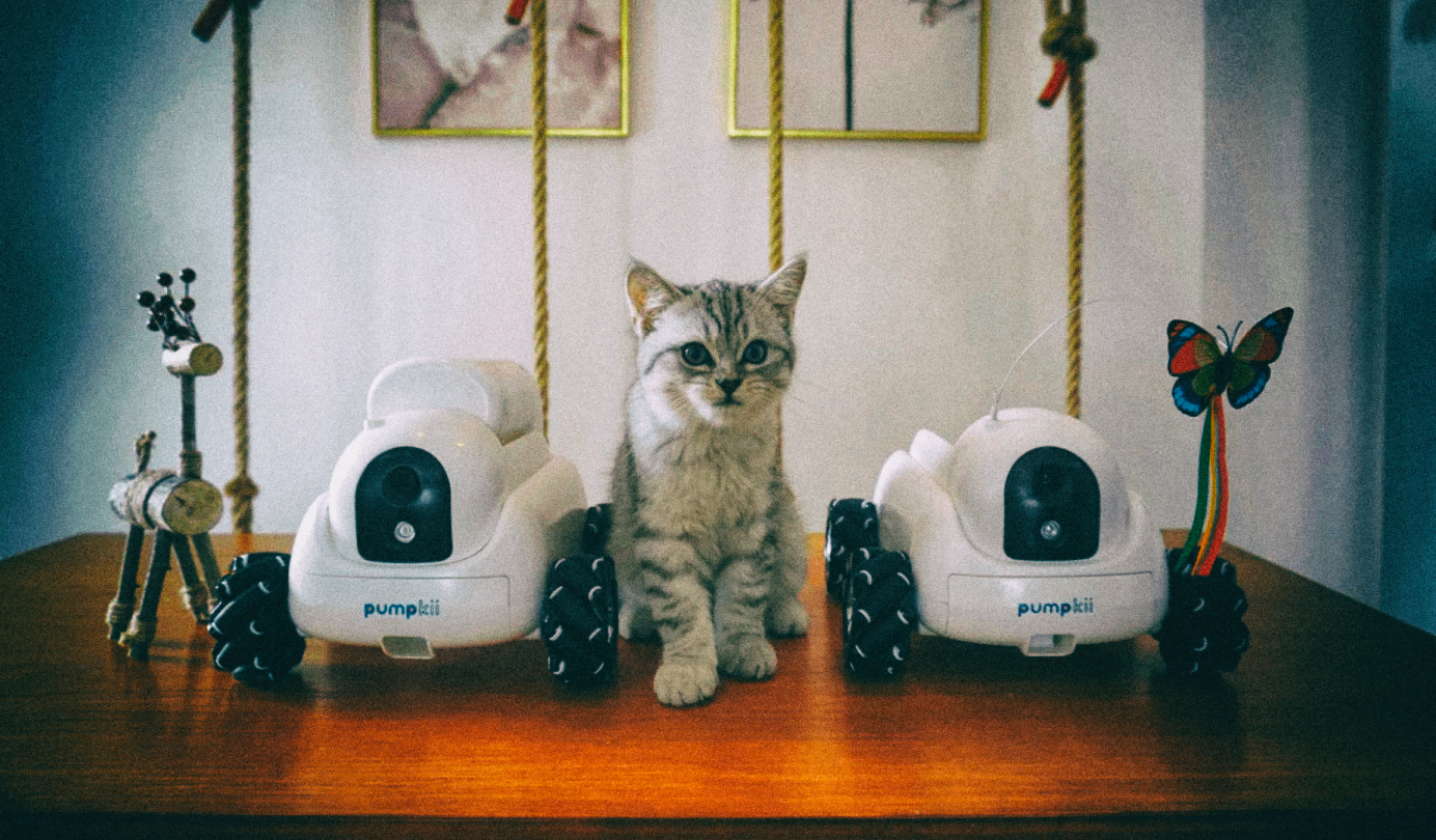 Робот Pumpkii использует сменные модули для развлечения домашних животных