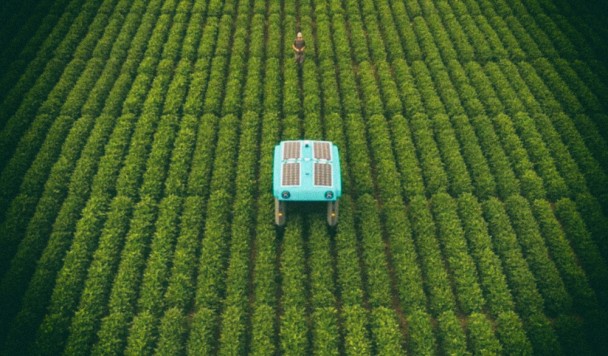 Google создает умных роботов для сельского хозяйства