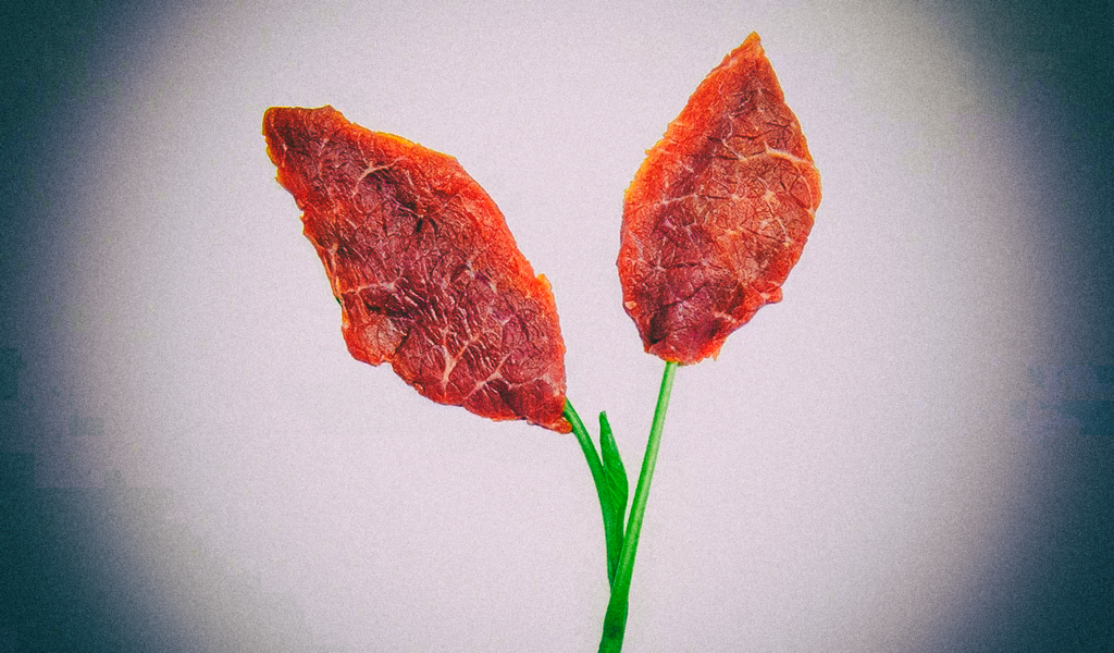 Мясо из пробирки можно генетически улучшить питательными веществами