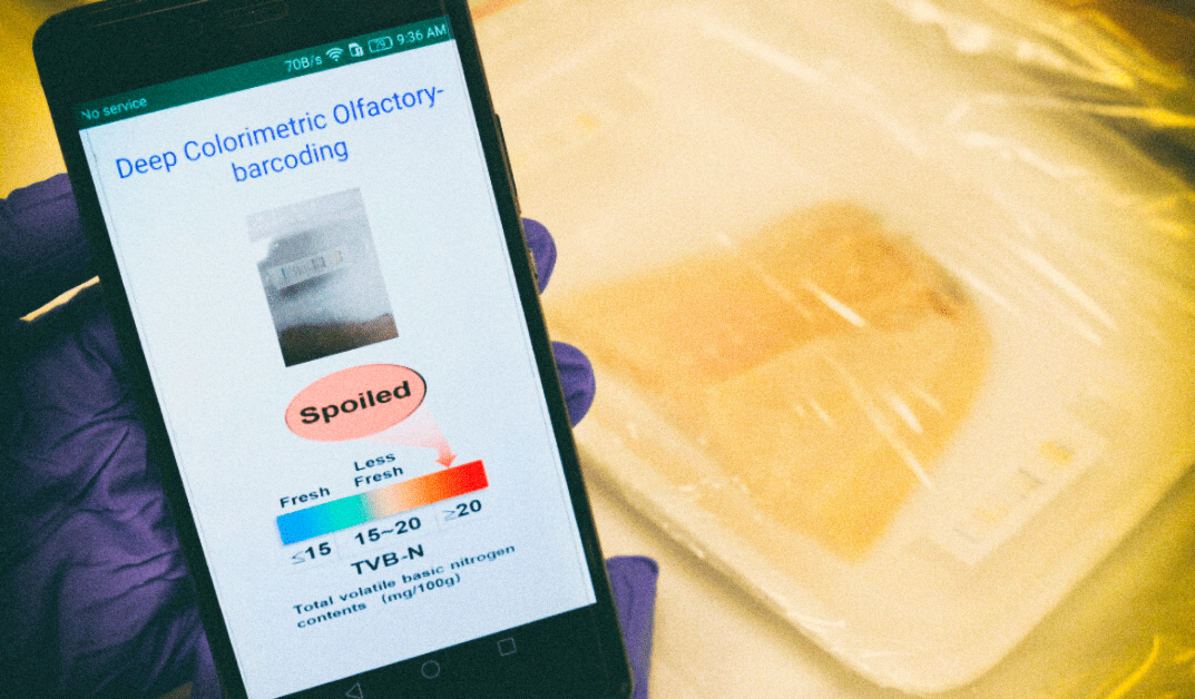 “Электронный нос” позволяет находить испорченное мясо в магазинах