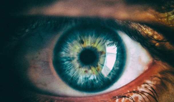 Искусственная биогибридная сетчатка сможет возвращать зрение слепым