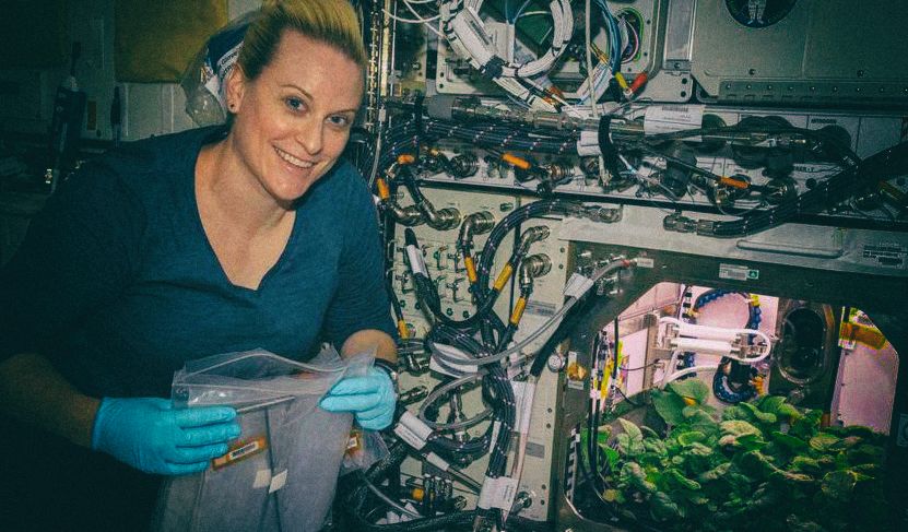 NASA позволило астронавтам съесть овощи, выращенные в космосе