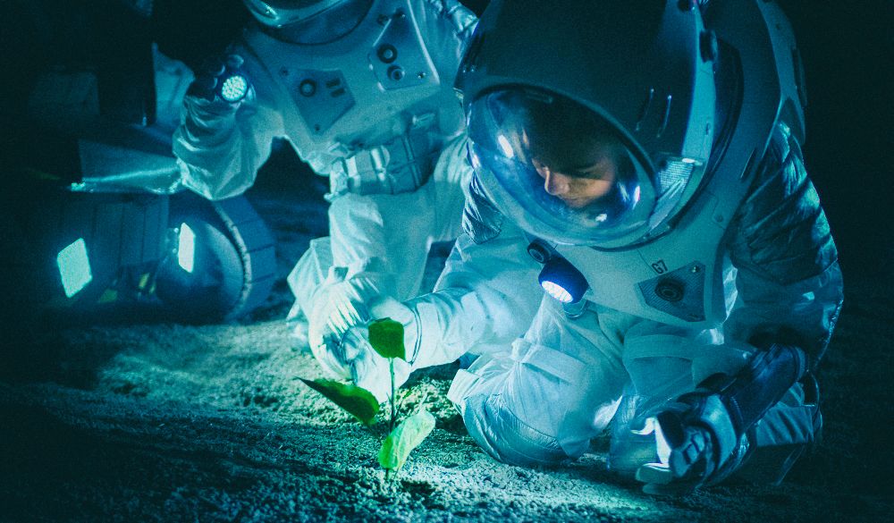 NASA проводит конкурс на выращивание космических продуктов