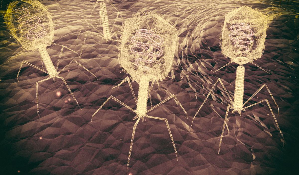 Ученые предлагают убивать бактериальные инфекции при помощи умных вирусов