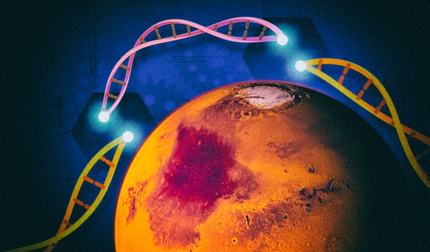 Астронавты впервые отредактировали геном в космосе