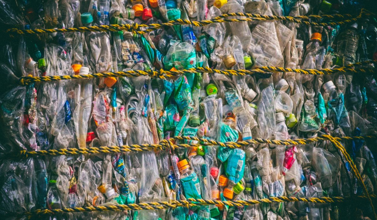 Пластиковый мусор можно превратить в еду