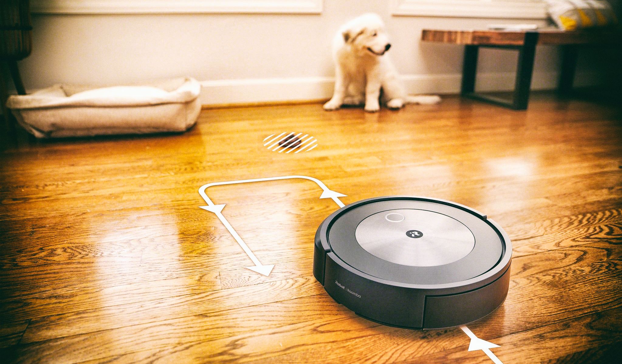 Роботы-пылесосы Roomba научились объезжать фекалии животных