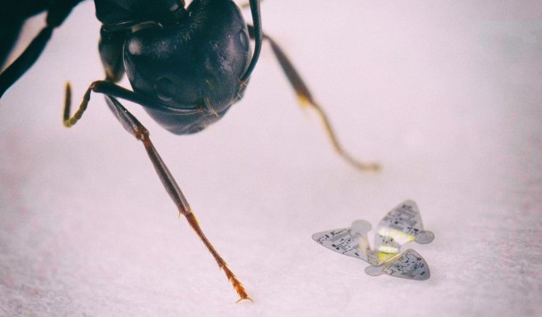 Созданы крошечные летающие микрочипы для мониторинга атмосферы