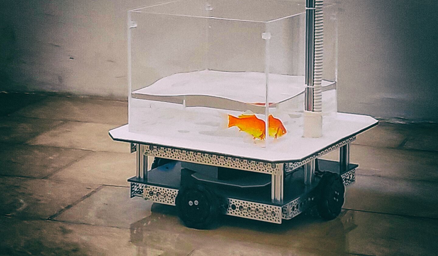 Рыбки научились управлять роботизированным аквариумом