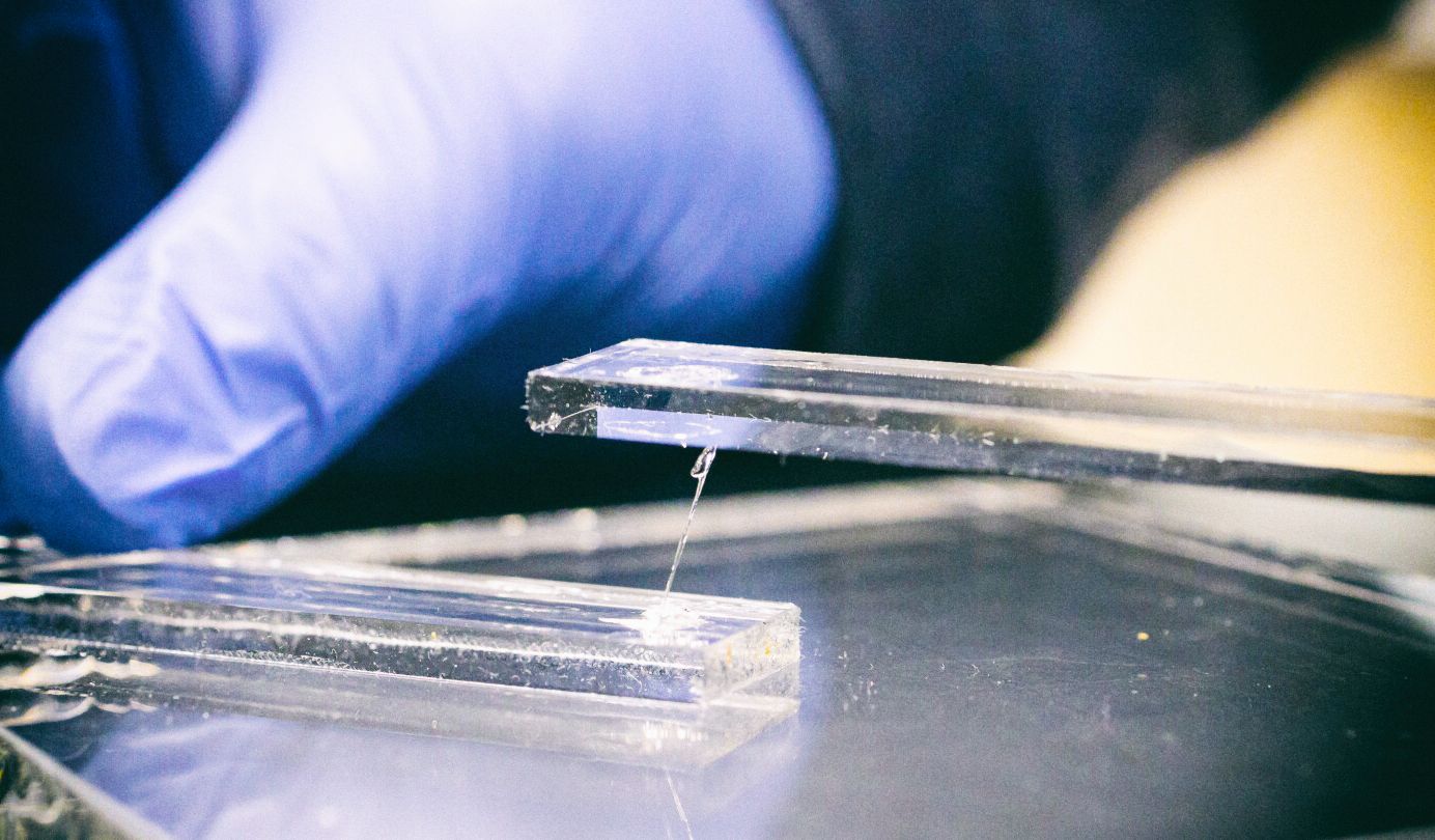 Ученые создали из переработанного пластика самый сильный клей в мире