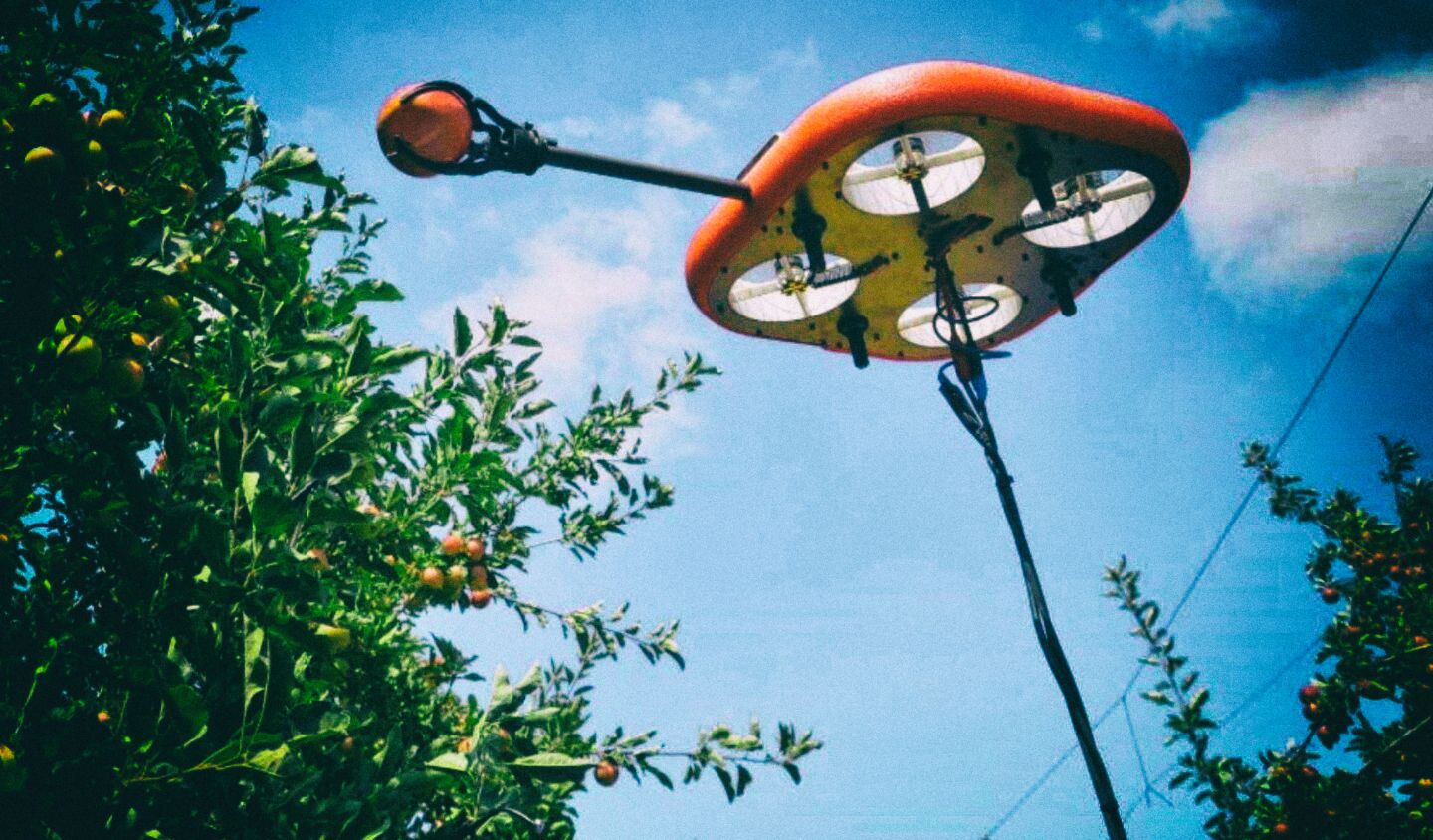 Разработаны дроны для сбора фруктов с высоких деревьев