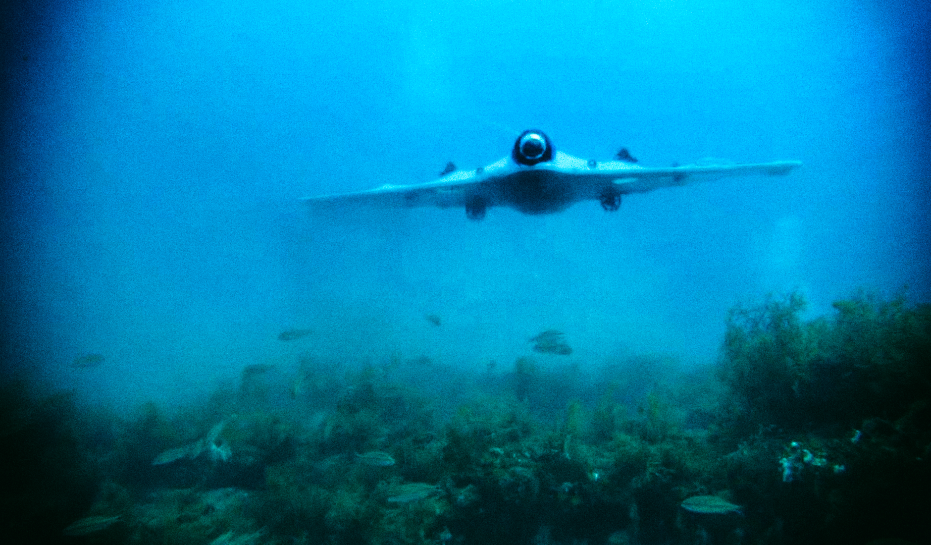 Создан подводный дрон для поиска затонувших сокровищ