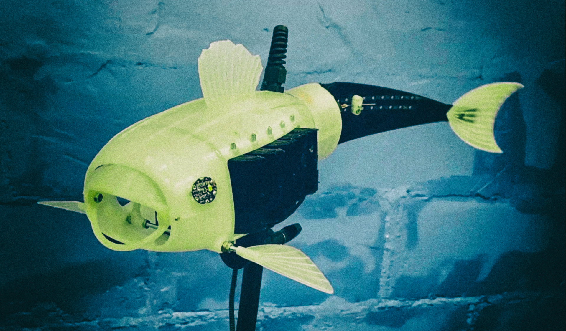 Разработана роботизированная рыба, поедающая пластик