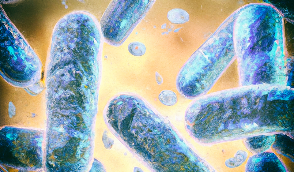 Полуживые «клетки-киборги» выживают там, где гибнут нормальные бактерии