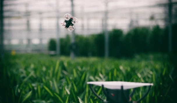 Представлен крошечный дрон для охоты на летающих насекомых-вредителей