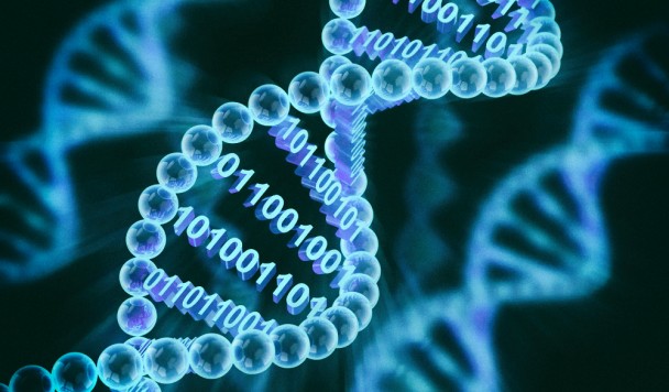 «Биологическая камера» хранит данные в ДНК живых бактерий