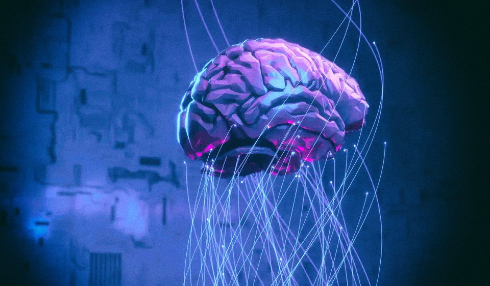 Мозг на чипе: Ученые планируют соединить клетки мозга человека с машиной