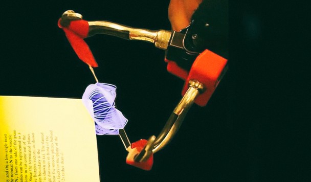 Киригами-робот может удерживать предметы аккуратно, но сильно