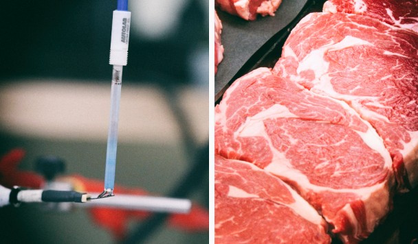 Новый биосенсор мгновенно определяет признаки испорченного мяса