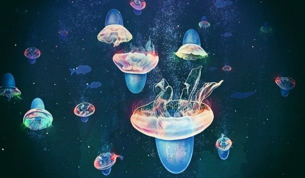 Скоростные медузы-киборги помогут собирать данные из глубин океана