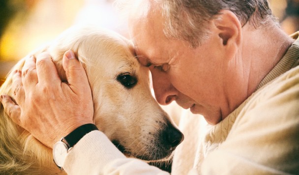 Собаки могут учуять стресс в дыхании человека c ПТСР