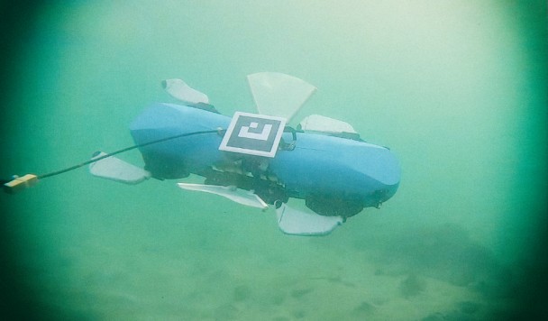 Новый подводный робот использует плавники, чтобы плавать, ходить и ползать