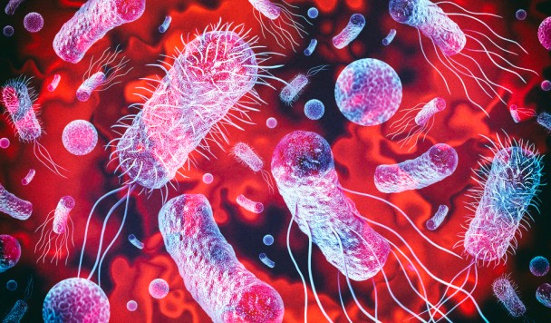 Новый антибиотик убивает супербактерии, но щадит полезные микроорганизмы