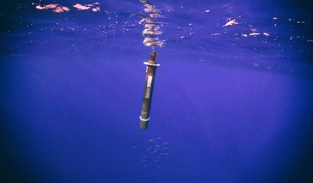 Новый робот может вечно исследовать океаны без подзарядки