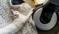 Производитель роботов-пылесосов Roomba может не пережить следующий год