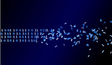 Новый вирус Anubis сочетает шифрование и полное уничтожение данных