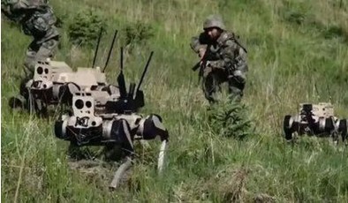 Китайские «роботы-волки» впервые приняли участие в военных учениях