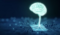 Учёные выращивают «мини-мозги» для биологического искусственного интеллекта