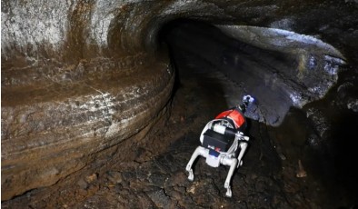 Китайские учёные создали робособак для исследования пещер на Луне